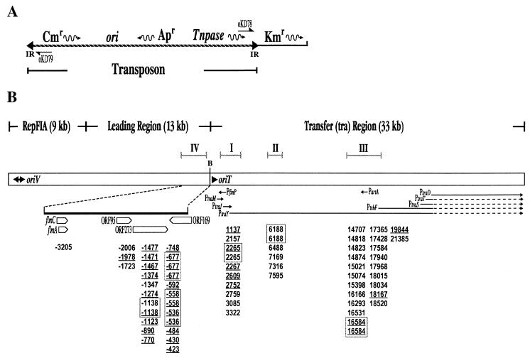 FIG. 1