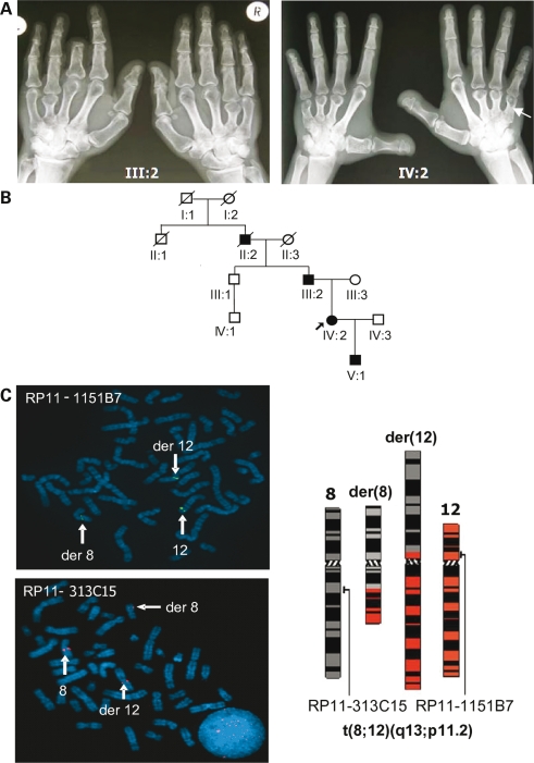 Figure 1.