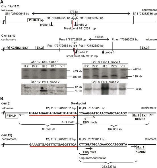 Figure 2.