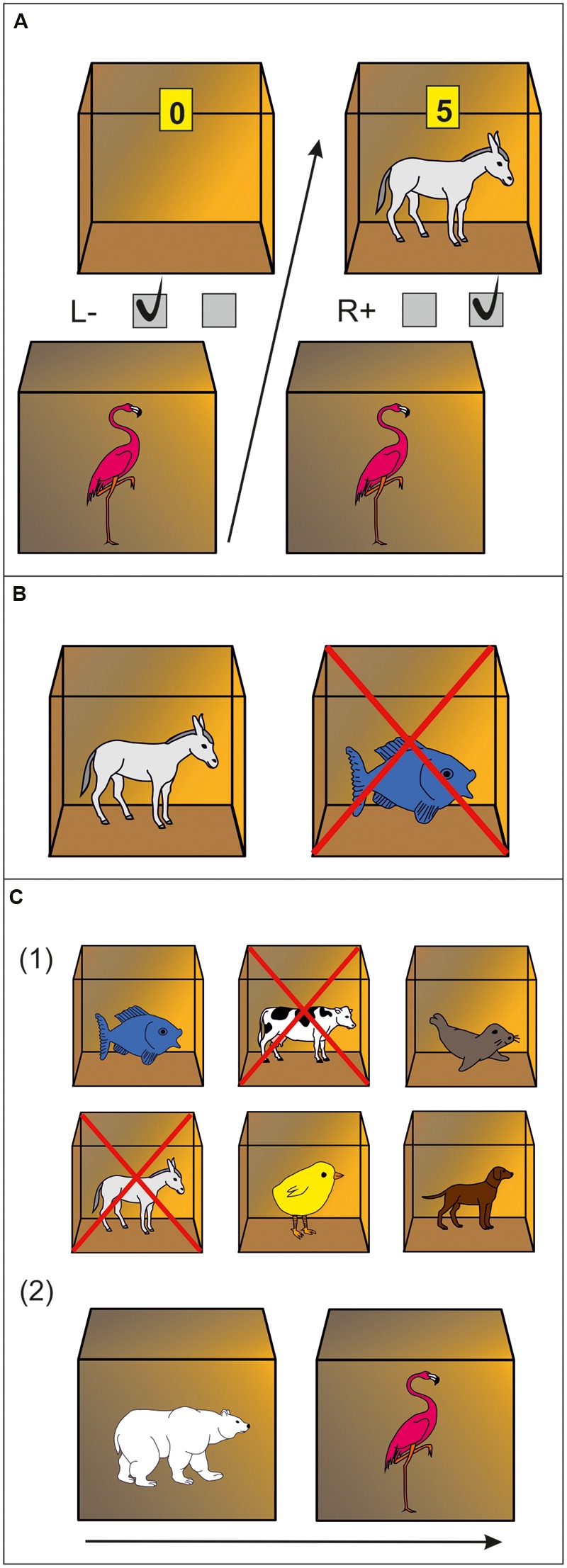 FIGURE 1