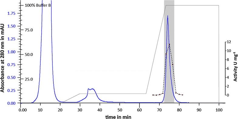 Fig. 3