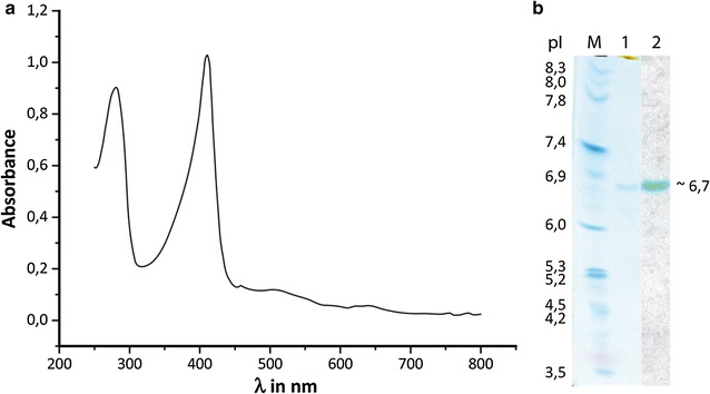 Fig. 4