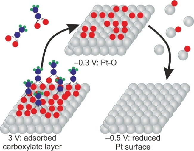 graphic file with name CSSC-15-0-g004.jpg