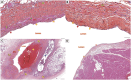 Figure 5: