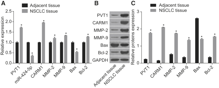 Figure 5