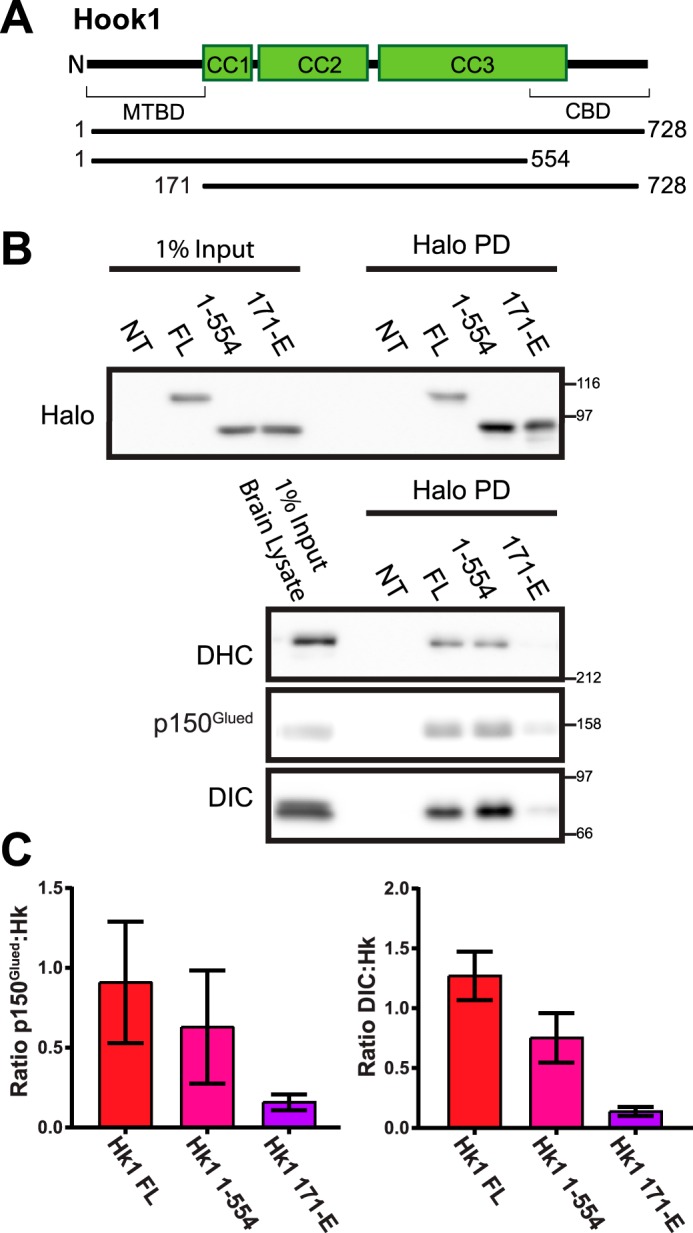 FIGURE 6.