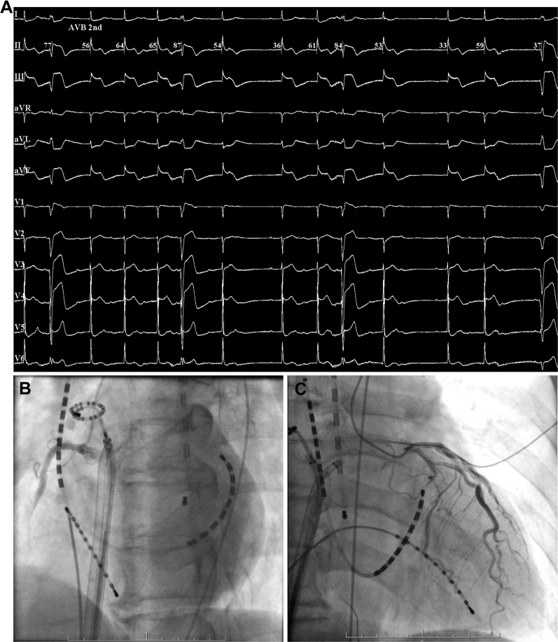 Figure 3