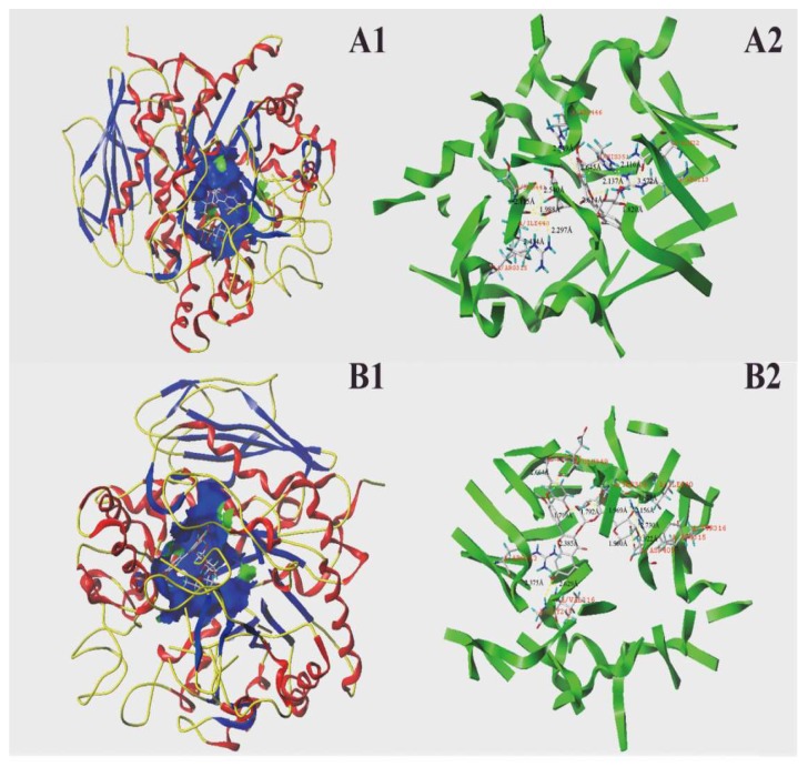 Figure 7