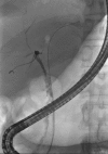 Figure 8