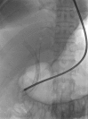 Figure 6