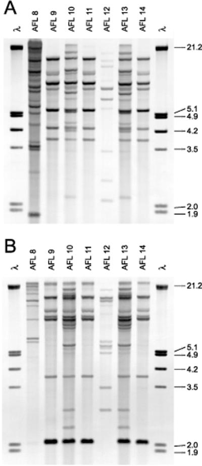 FIG. 4