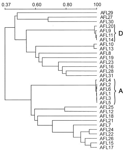 FIG. 5