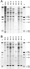 FIG. 4