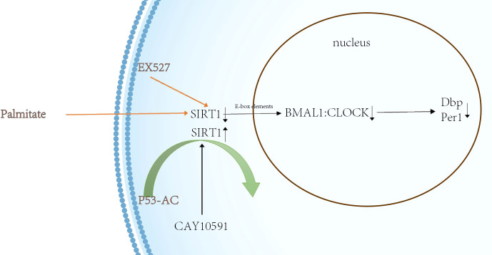 Figure 1