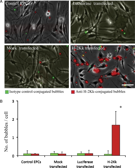 Figure 4