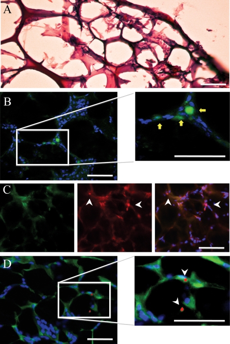 Figure 6