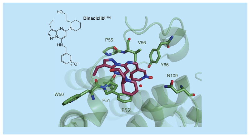 Figure 10