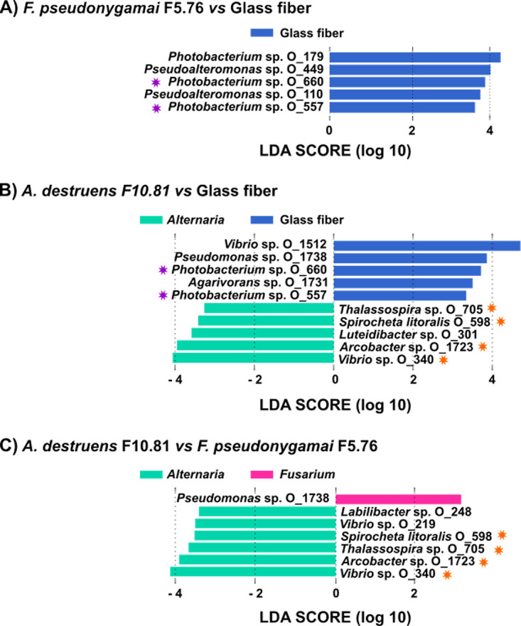 FIG 4