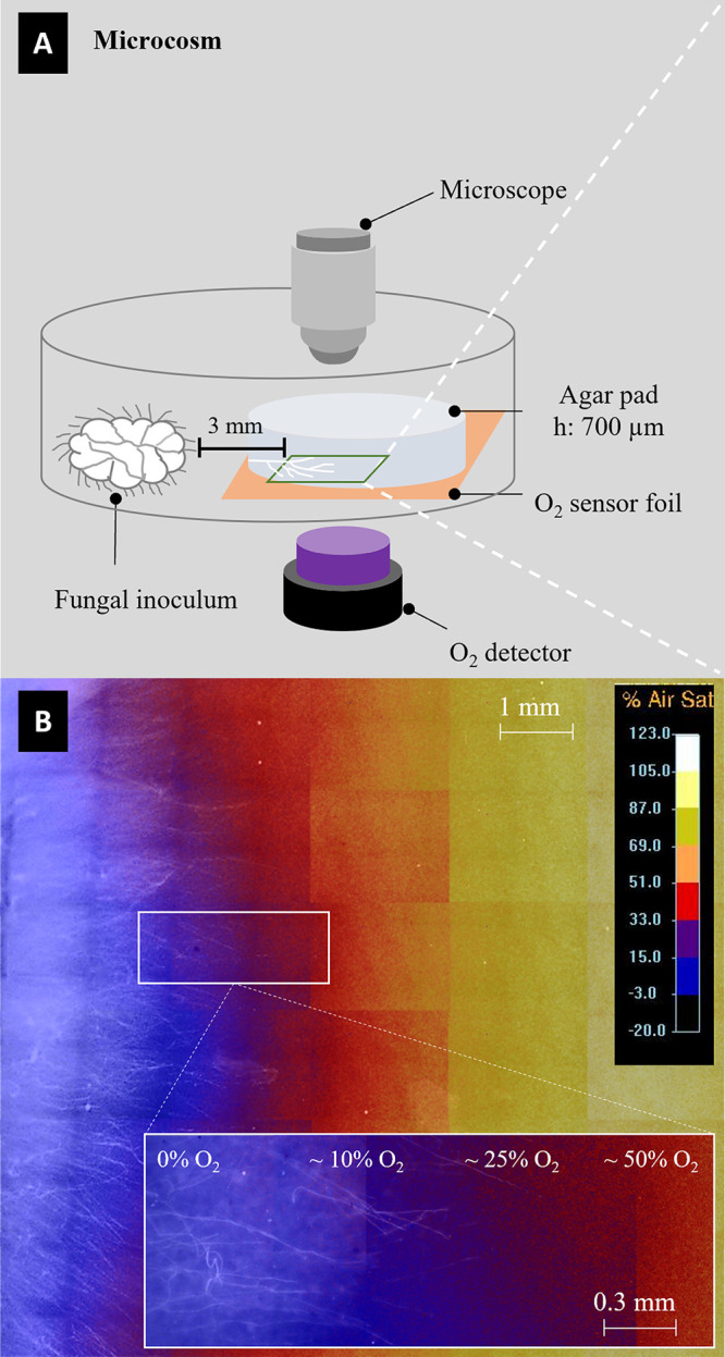 FIG 5