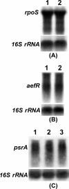 FIG. 8.
