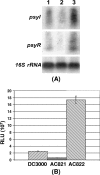 FIG. 7.