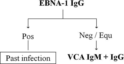 FIG 2