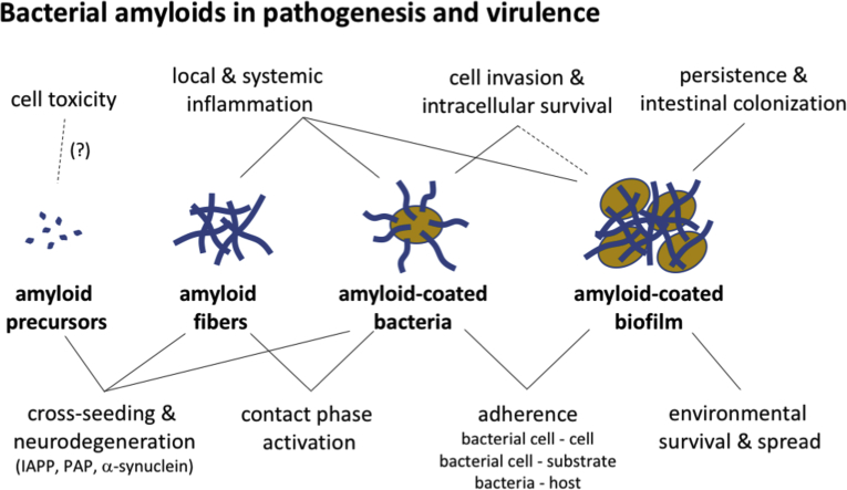 Unlabelled Image