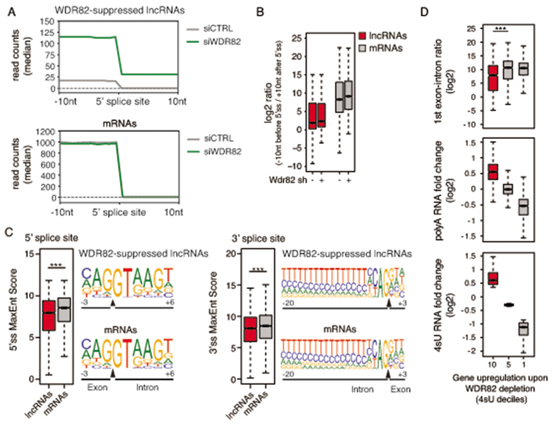 Extended Data Fig. 6