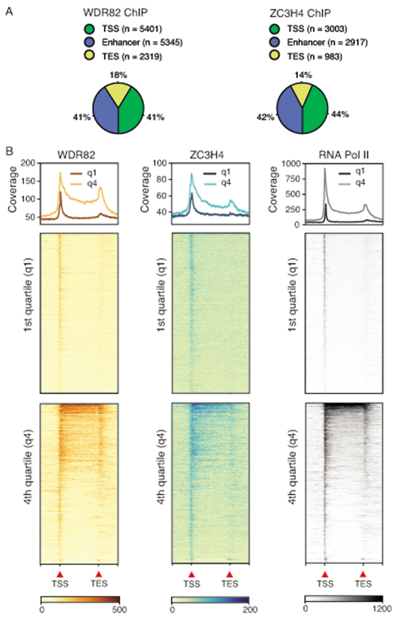 Extended Data Fig. 4