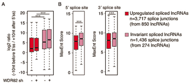 Extended Data Fig. 9