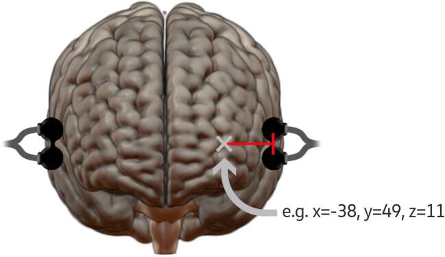 Supplementary figure 2