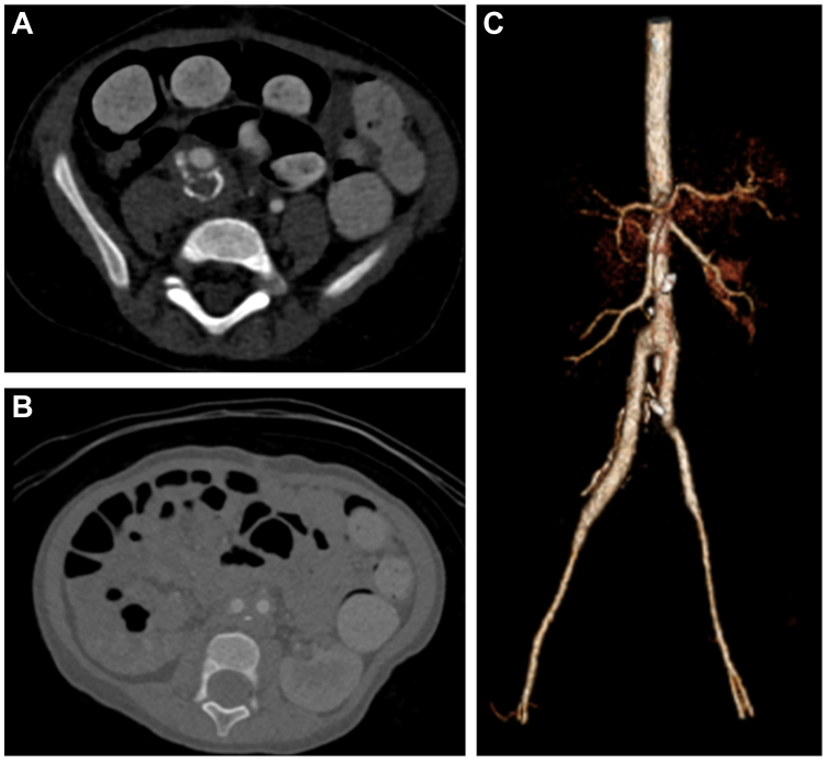 Fig 4