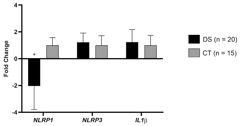 Figure 1- 