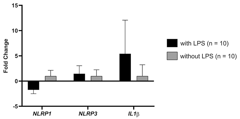 Figure 2 - 