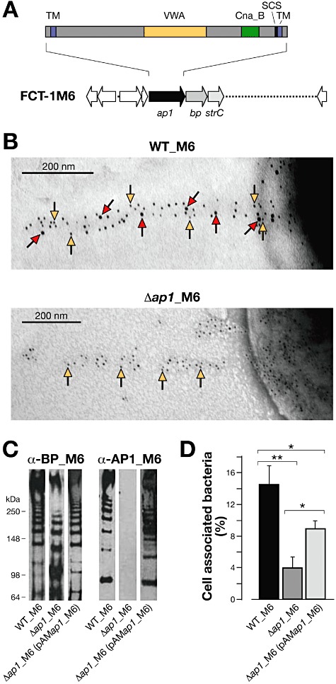 Fig 1