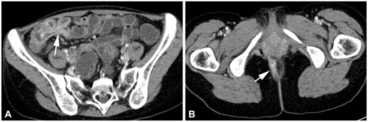 Fig. 5