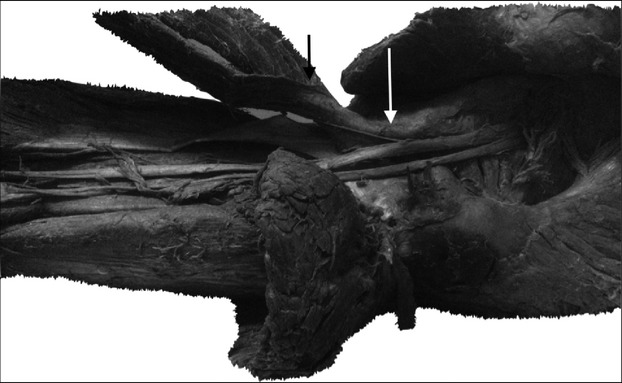 Fig 5