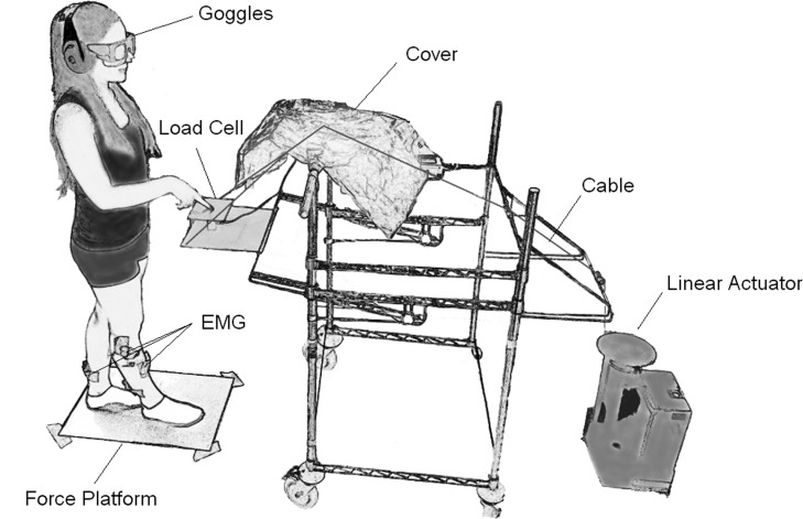 Fig. 1.