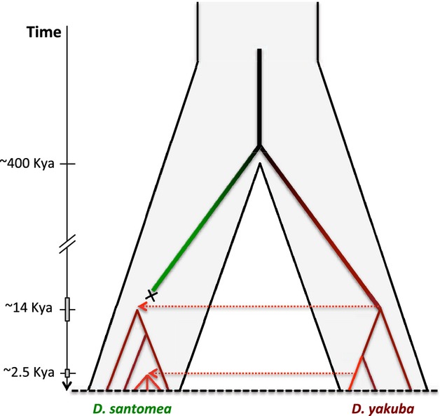 Fig 5