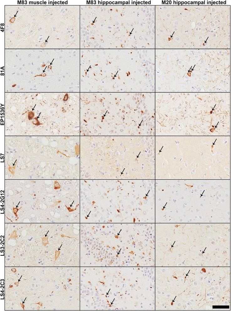 Fig. 6