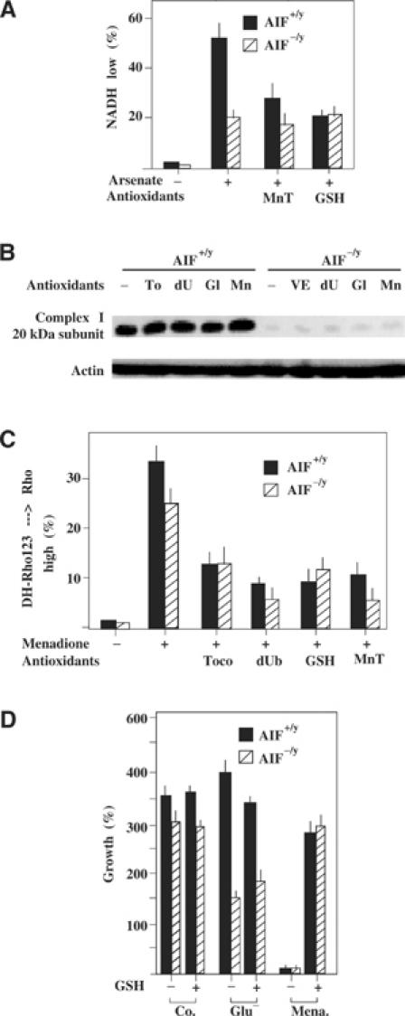 Figure 6