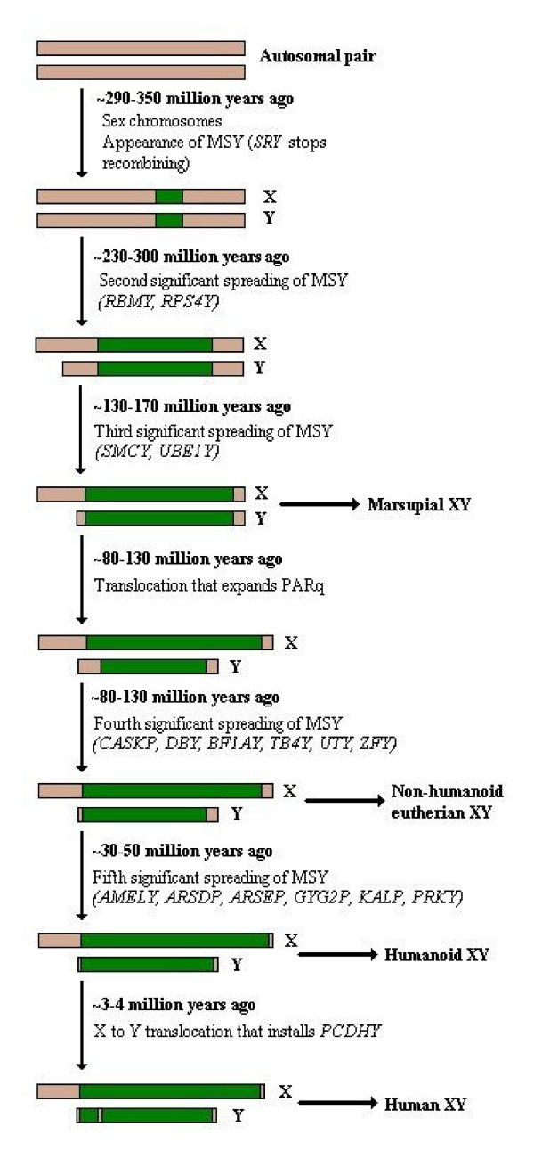 Figure 15