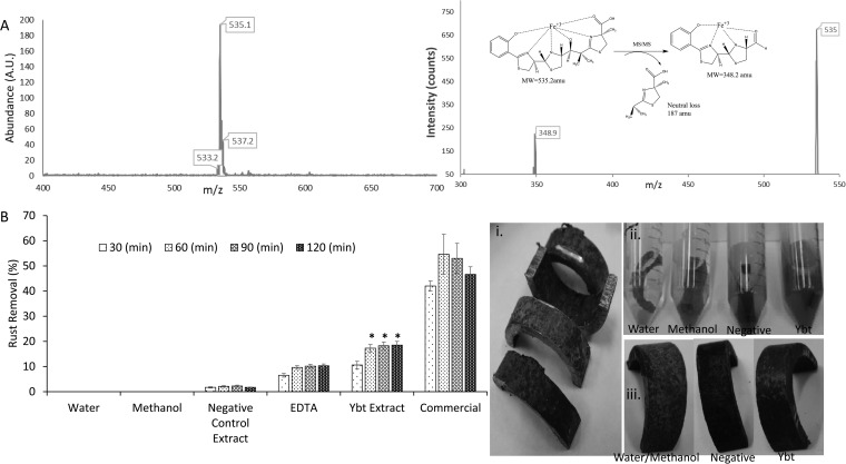 FIG 3