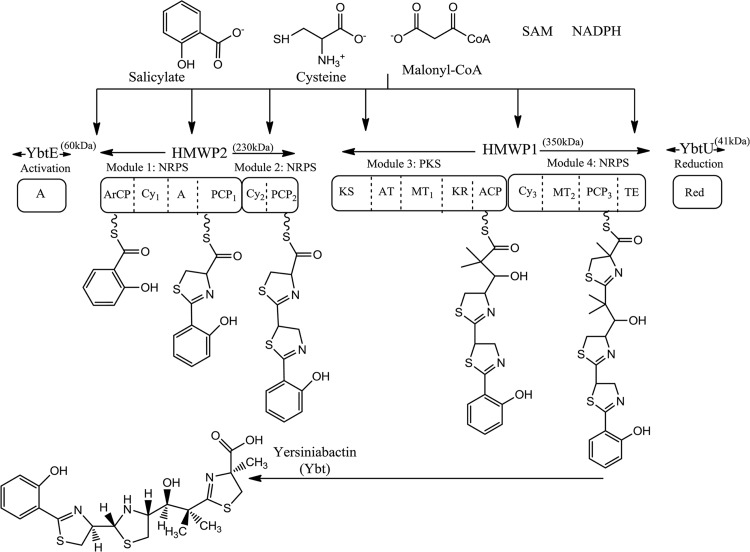 FIG 1