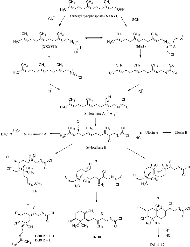 Figure 40