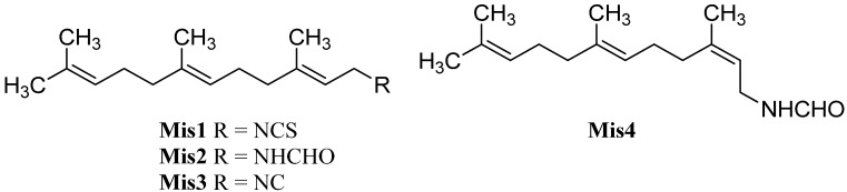 Figure 31