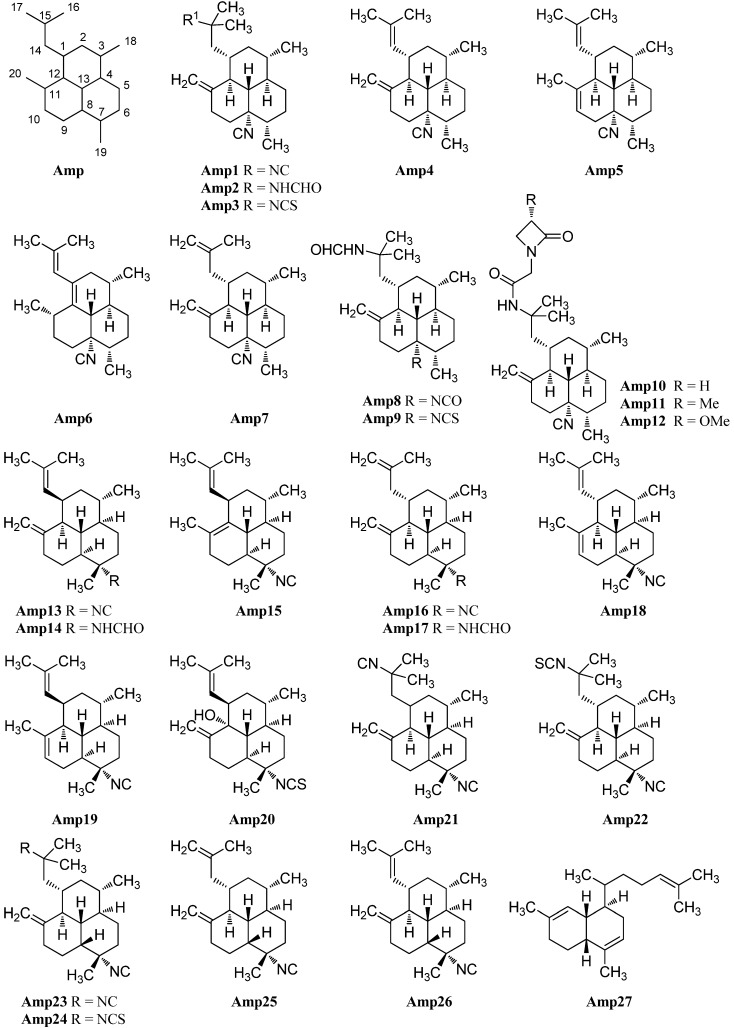 Figure 24