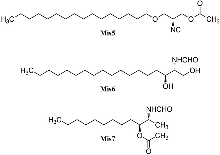 Figure 32