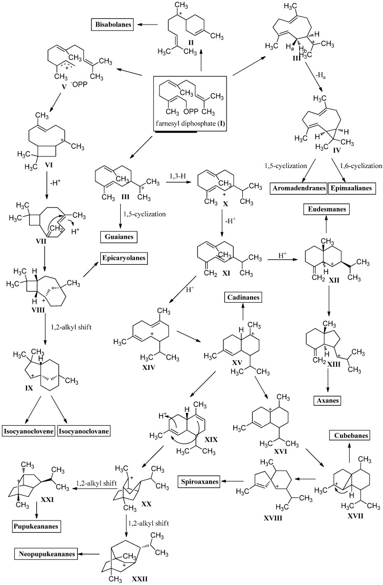 Figure 38