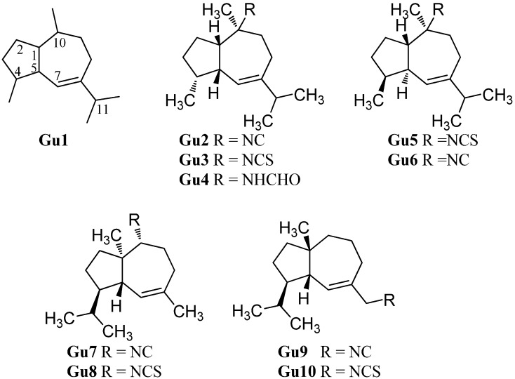 Figure 13